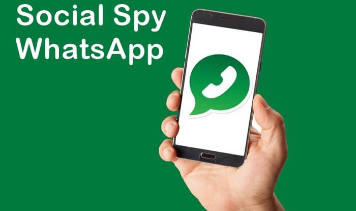 Social Spy WhatsApp