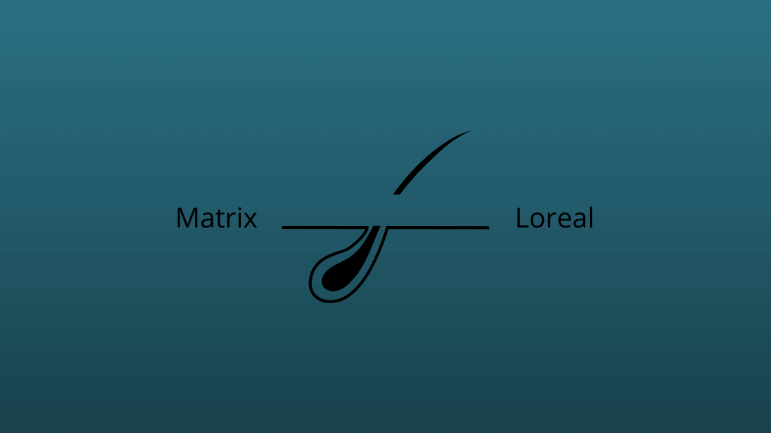 smoothing matrix vs loreal