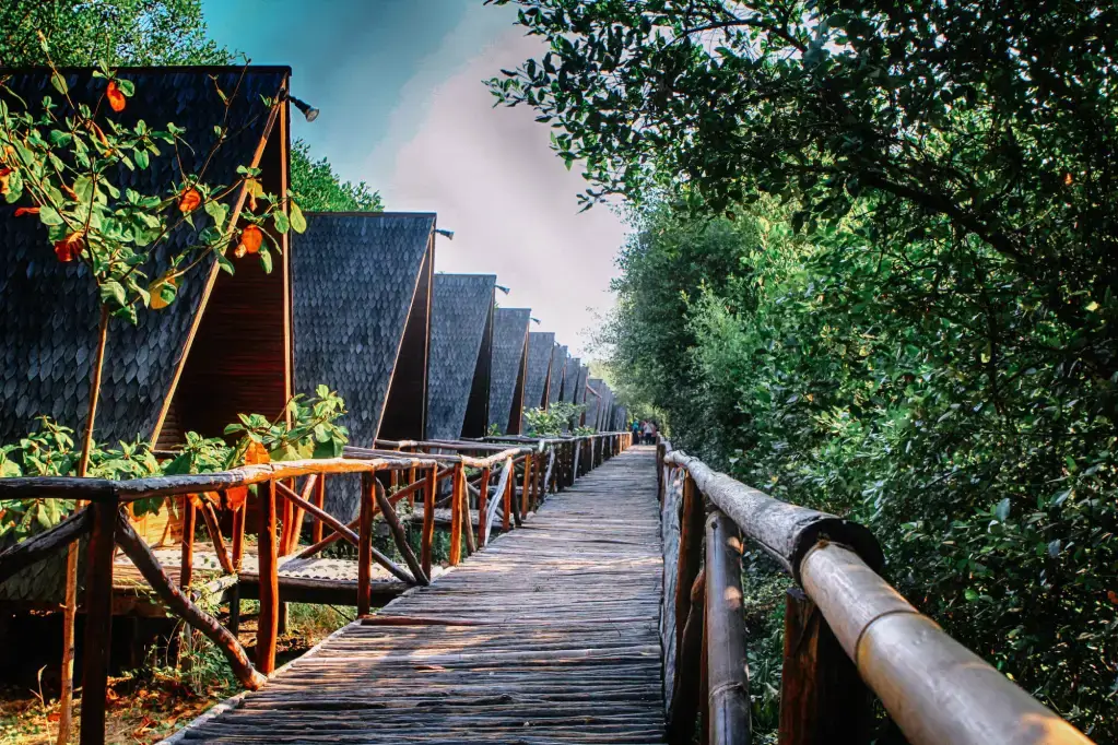 Wisata Hutan Mangrove di Indonesia